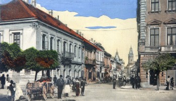 Vedere din Satu Mare la începutul secolului XX