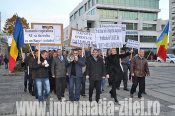 Putin peste 30 de persoane au participat la marsul de protest organizat de PDL