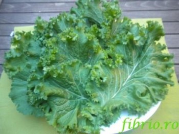 Frunze de varză Kale