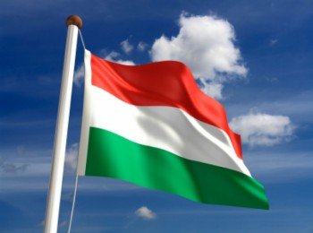 ungaria-steag
