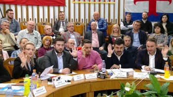 Consiliul local Satu Mare